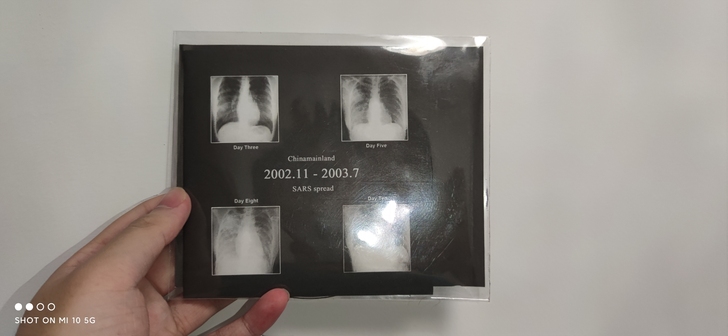 黑金属 殉难 哀嗥 无情 的三合一 拼版专辑