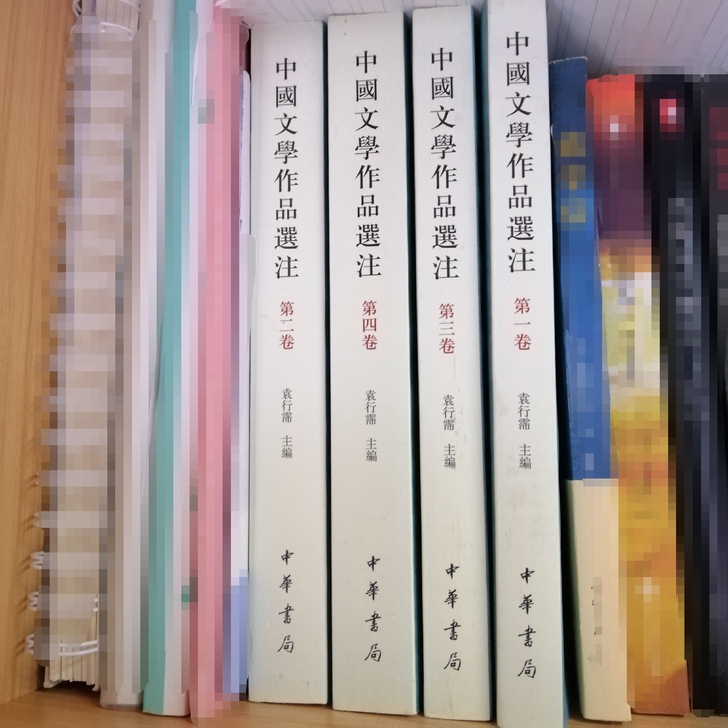 中国文学作品选注