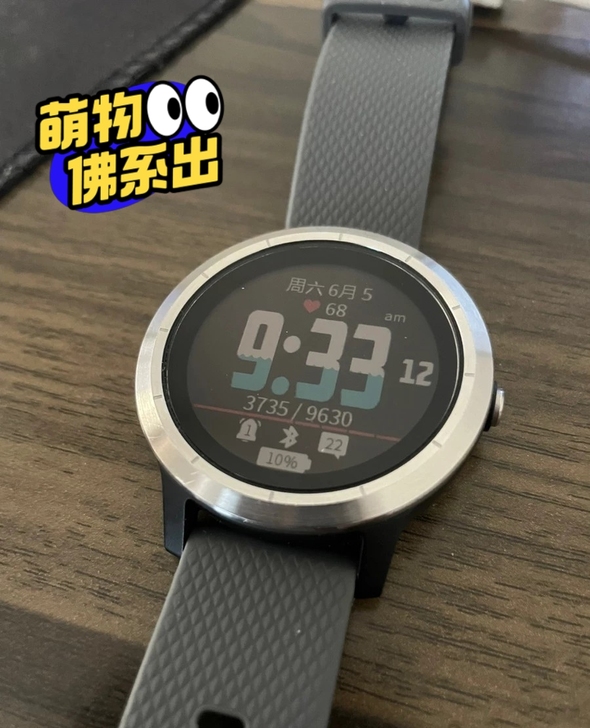 佳明（GARMIN）vivoactive3...