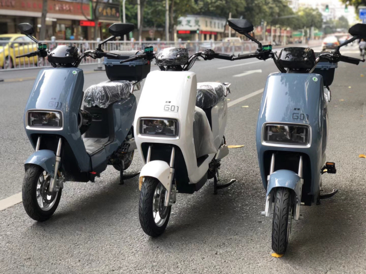 全新广州五羊老品牌 国标电动车 金平龙湖濠...
