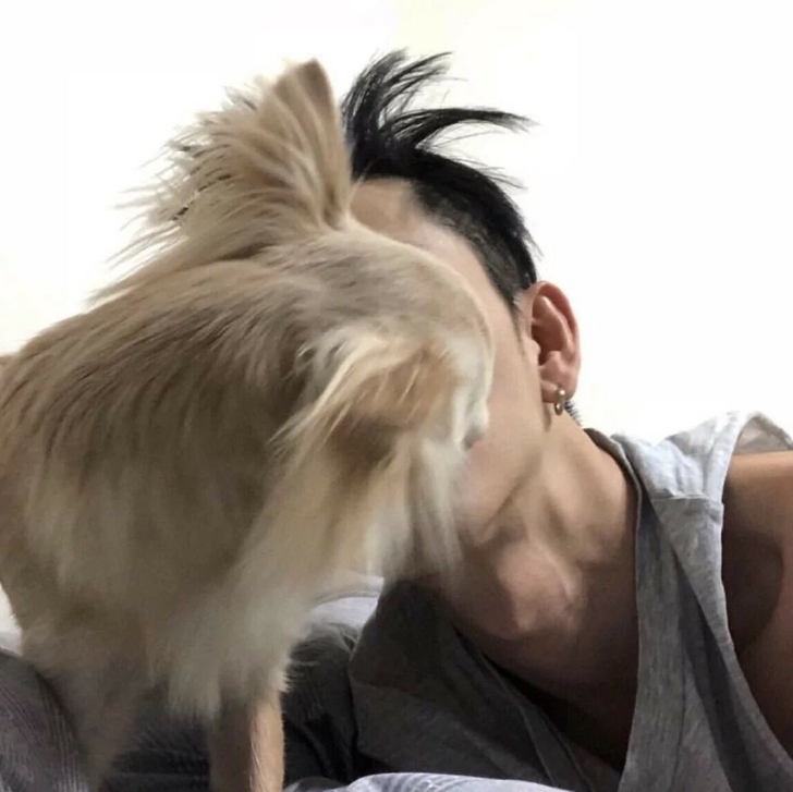 Ps、AI、Pr、AE软件