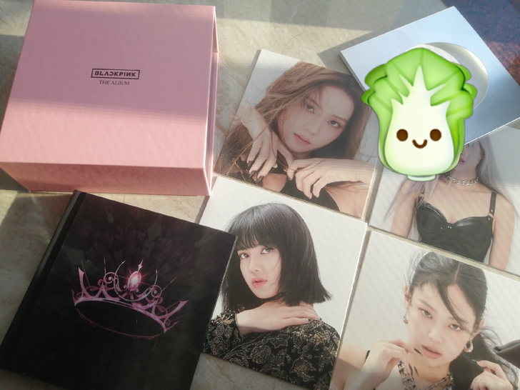 blackpink专辑 没有CD没有小卡没...