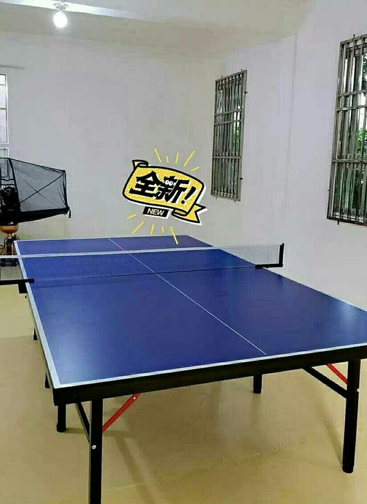 【处理国标】乒乓球桌球台家用室内球案可以折...
