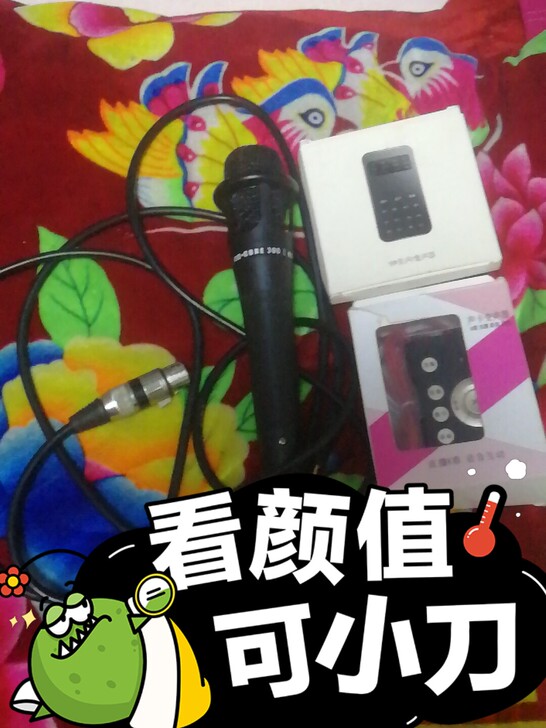 变声器聊天游戏专用