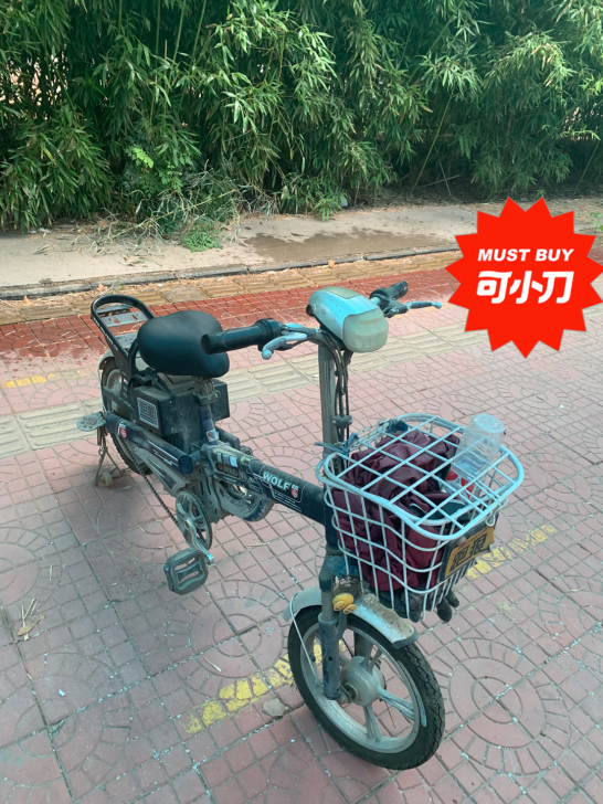 驾驶本下来了,电动车基本不骑了,闲置时间长...