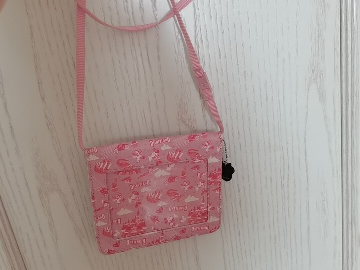 上海迪士尼乐园购入 正品 无发票 没有背过