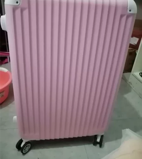 拉杆箱万向轮旅行箱行李箱，20寸，八成新，...