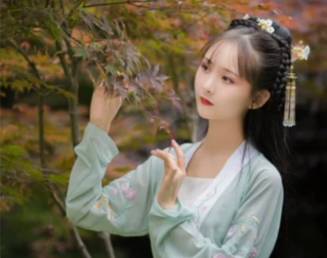 【忘郁】 兴雅阁传统汉服刺绣女夏对襟齐腰襦...