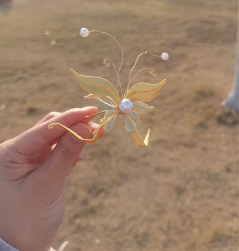 颤珠缠花蝴蝶 非蚕丝 直拍不退  当送钱 ...