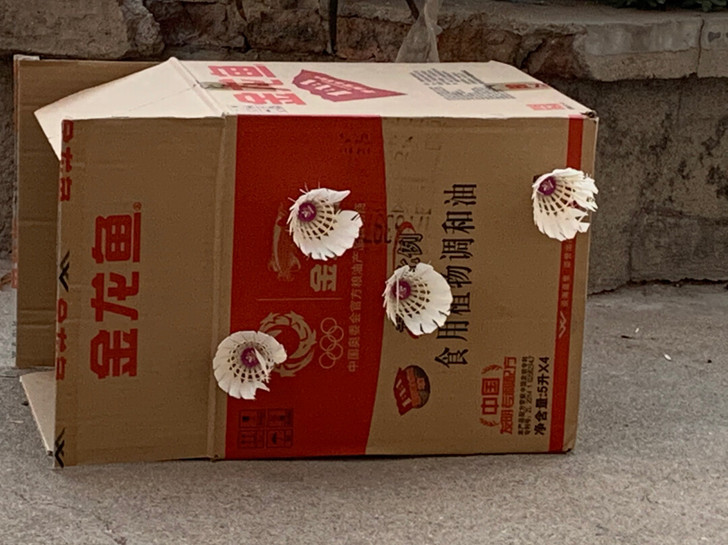 伯宏羽毛球（全新）