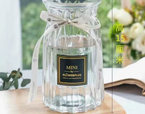 花瓶摆件客厅欧式创意家用装饰玻璃透明水培绿...