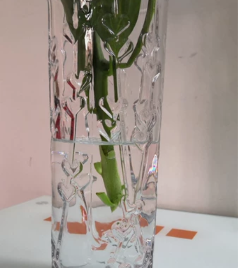 加厚玻璃花瓶 富贵竹百合直筒玻璃透明摆件 ...