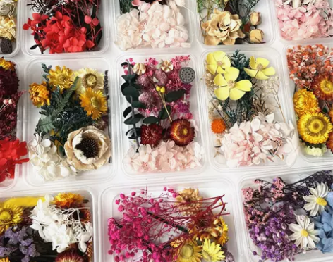 永生花干花材料包DIY相框贴画团扇浮游团建...