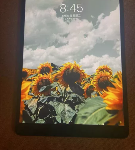 低价闲置出 iPad 2021九代款256...