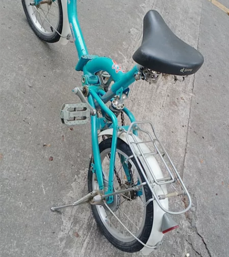 闲置折叠自行车！大人小孩都能骑，達美健16...