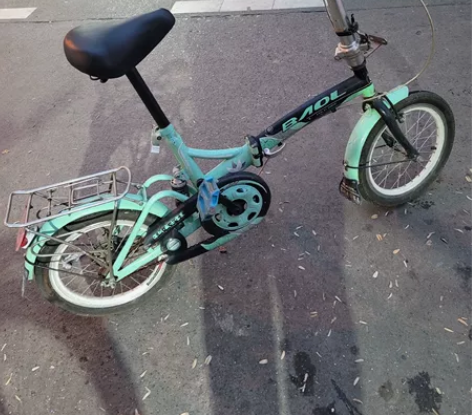 深圳威士宝莱折叠自行车,正常骑行,换了一个...