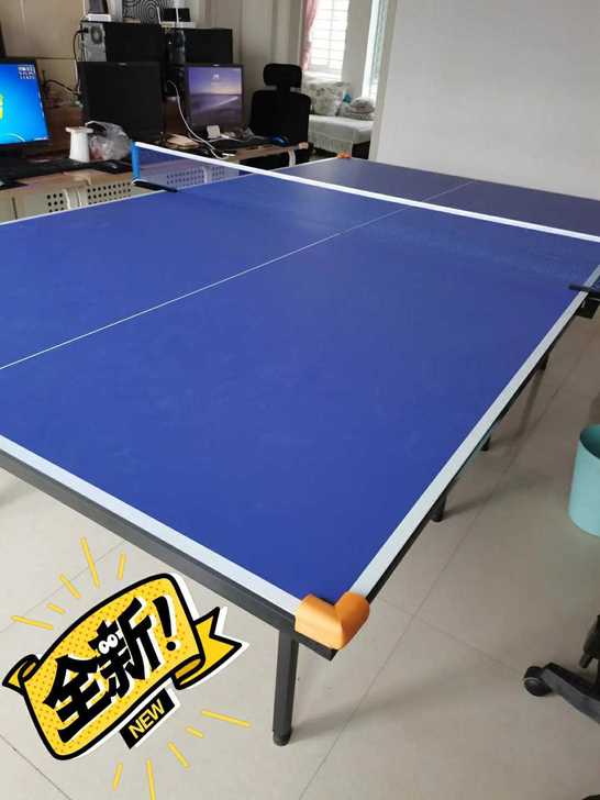全新  含泪低价出 乒乓球桌家用室内标准可...