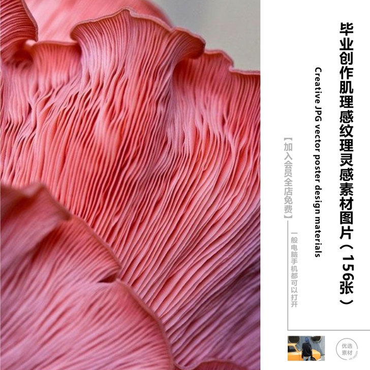 肌理纹理图片素材服装设计企划创作创意灵感图...