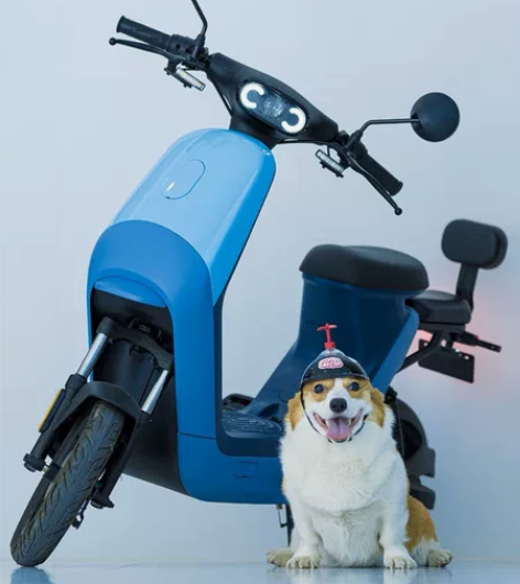 小牛电动C0都市全新低价 48141865...