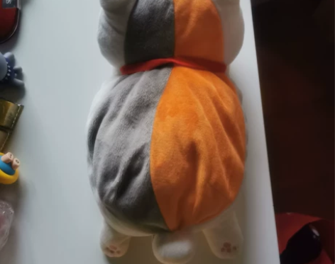 猫老师 粉色爪爪好可爱的。 笑的贼咪咪，日...