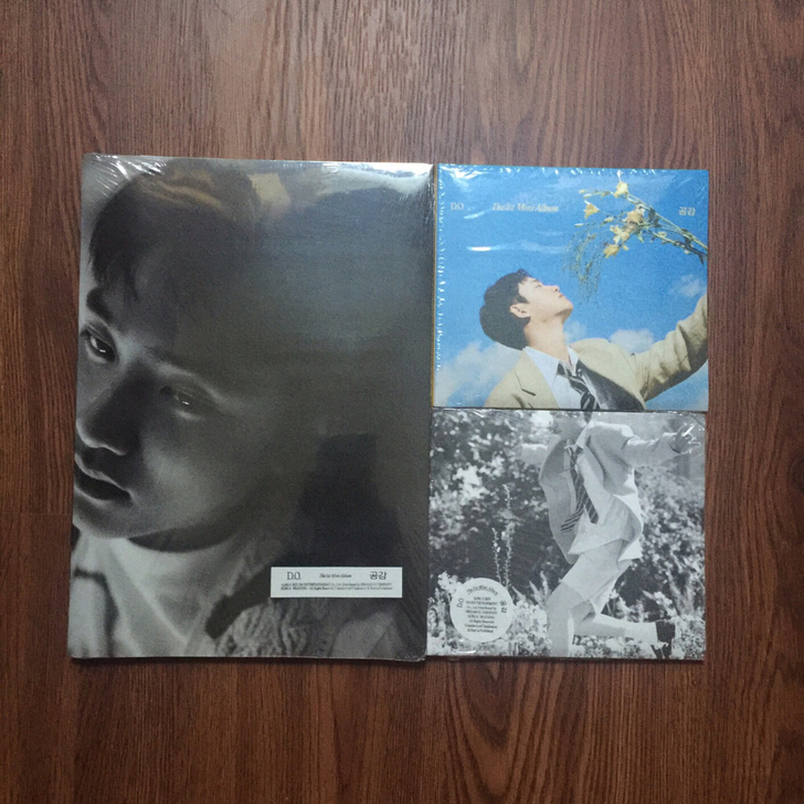 exo 都暻秀solo 共感 D.O.