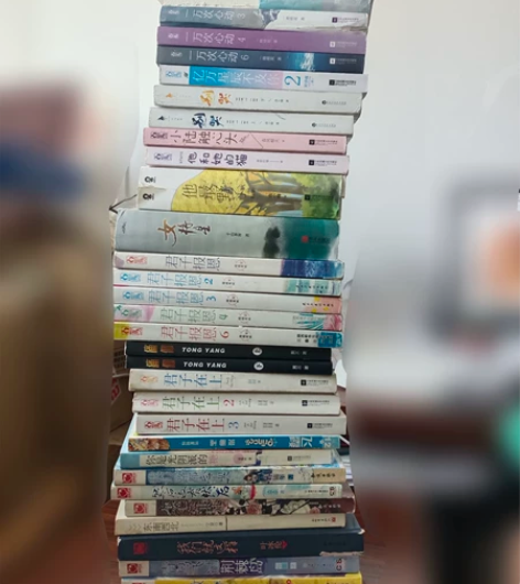 热门言情书言情小说古风书古风小说悬疑小说，...