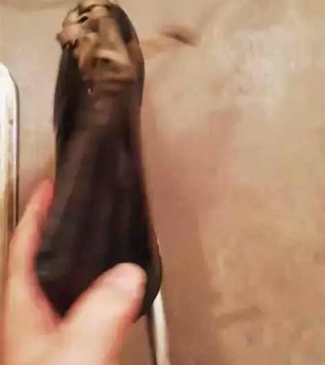 38号速滑牛皮面冰鞋八成新,刀体和刀面涂抹...
