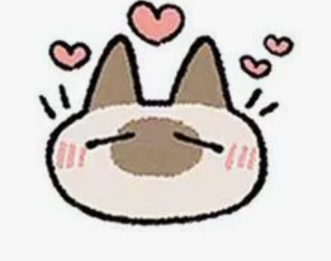 艺考辅导 中传戏文在读 提供中国传媒大学戏...