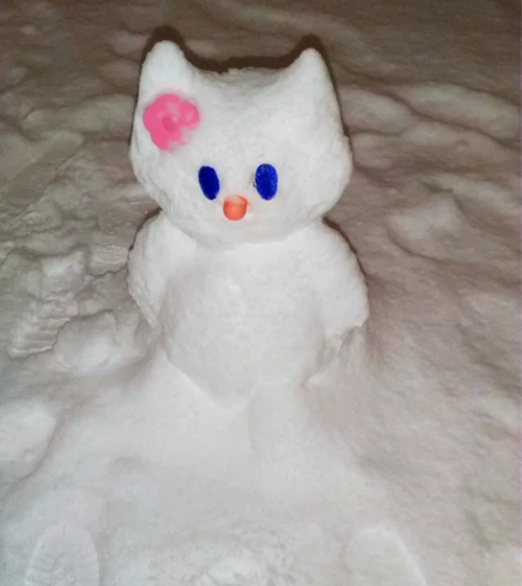 出温州大学文学理论、古代文学史和中国文化概...