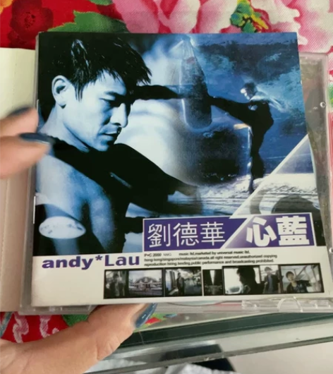 刘德华VCD带歌词本，各种VCD杂集，谭咏...
