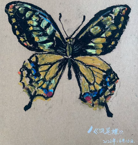 卖画，卖画了！卖同款画我太喜欢蝴蝶花花了，...