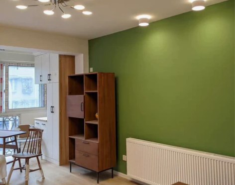 德国柏曼Finn吸顶灯5头9头LED智能客...