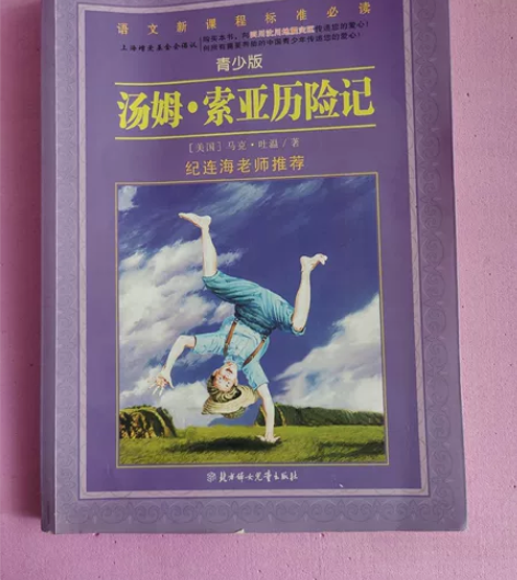 汤姆索亚历险记 马克吐温著 正版原著中文版...