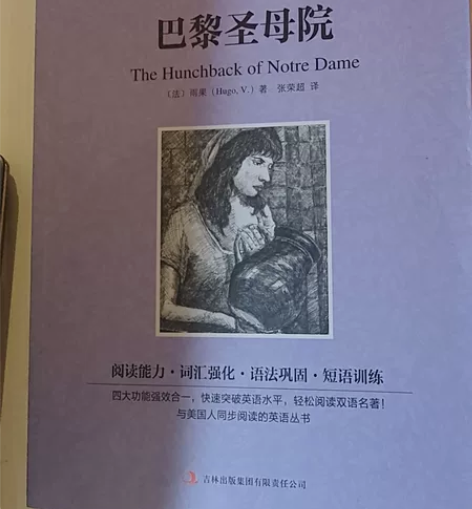 巴黎圣母院，复活，包法利夫人，契诃夫短篇小...