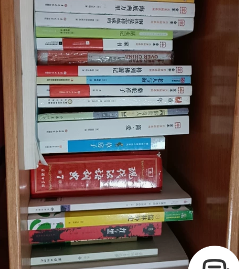 《西游记》《红楼梦》《水浒传》《海底两万里...