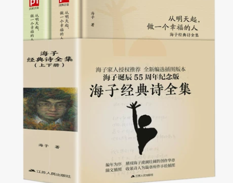 海子的诗 春暖花开顾城传记现当代文学散文诗...