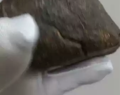 来自撒哈拉沙漠的NWA西北非石陨石,未分类...
