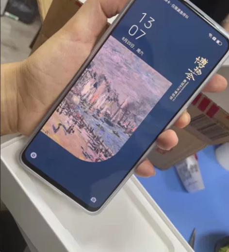 OPPO手机 oppo全面屏智能手机双卡全...