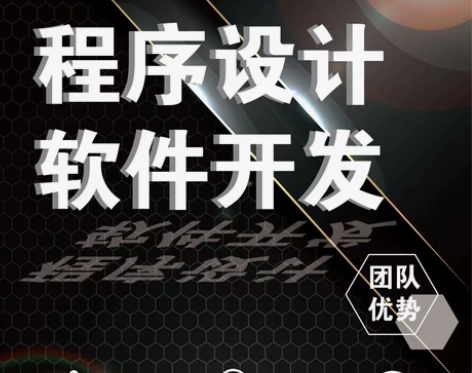 java软件python程序C语言PHP ...