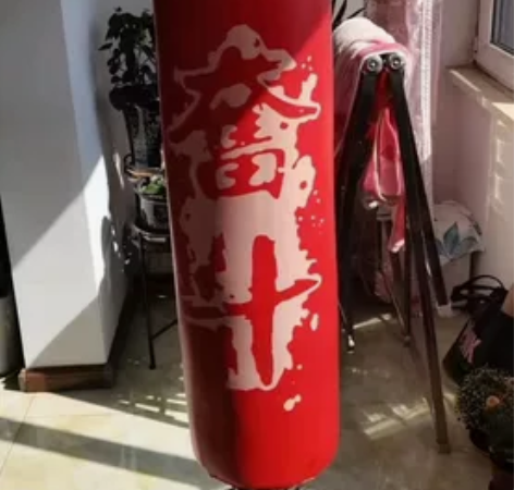 飞尔顿拳击沙袋立式吸盘不倒翁，京东购入，有...