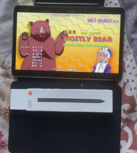 小米平板5 6g 128g。成色有9.5吧...