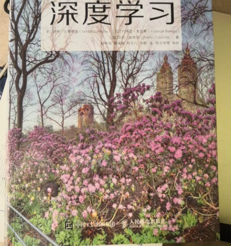 全新深度学习,没有看过便宜出了 感兴趣的话...
