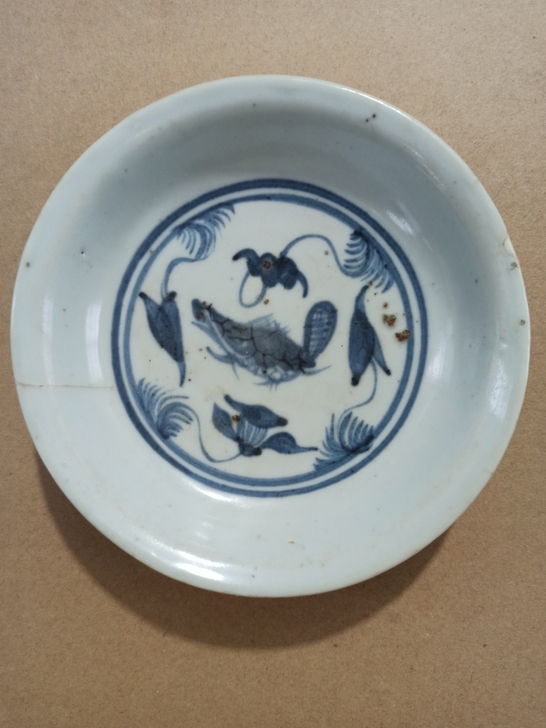 少见小盘，约12公分