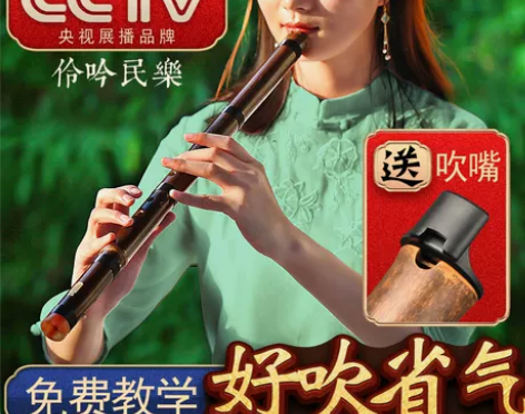 洞箫乐器初学入门专业高档F紫竹短箫六古风八...