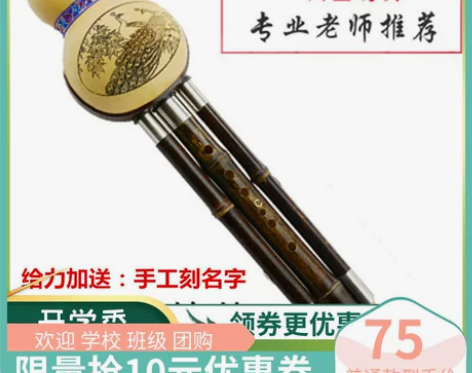 紫竹葫芦丝C调降B调 A/G/F/小D调学...