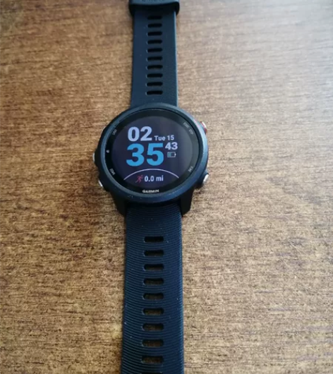 Garmin佳明245M英文音乐版智能运动...