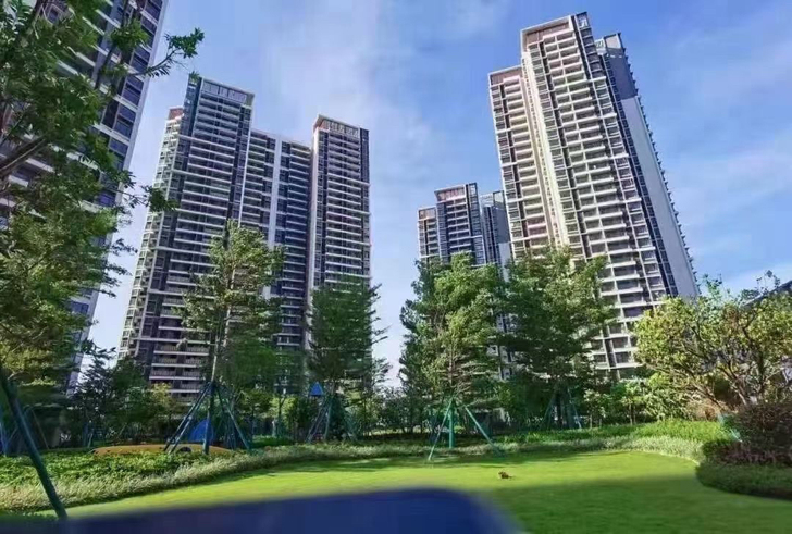 大旺国家高新区，麒麟湖CBD，保利的楼盘