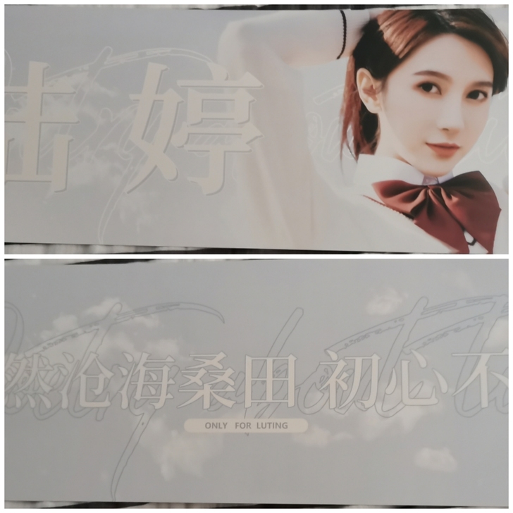 陆婷 许杨玉琢 杨冰怡 张昕 王晓佳 林思...