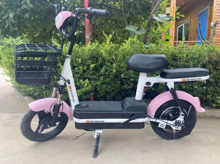 全新国标48v12安电动车 全新48v12...