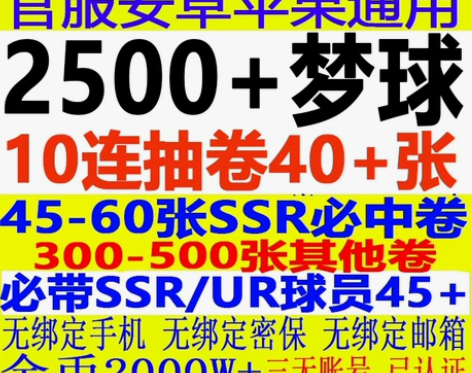 队长小翼最强十一人初始号开局号足球小将国服...